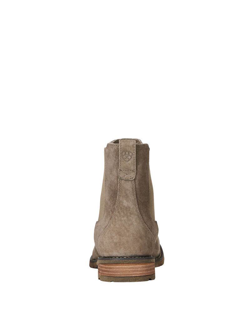 Bottines Ariat Wexford Imperméables Grise Marron Femme | QCR-00967822