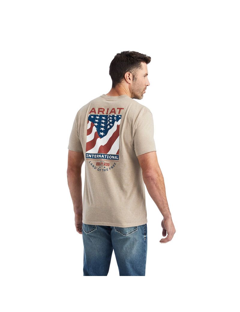 T Shirts Ariat Flag Flow Beige Homme | PQZ-13088170