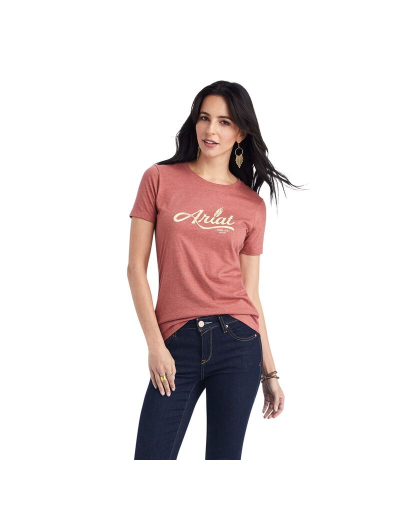 Hauts Ariat Wheat Script Tee Rouge Femme | JPX-87911811