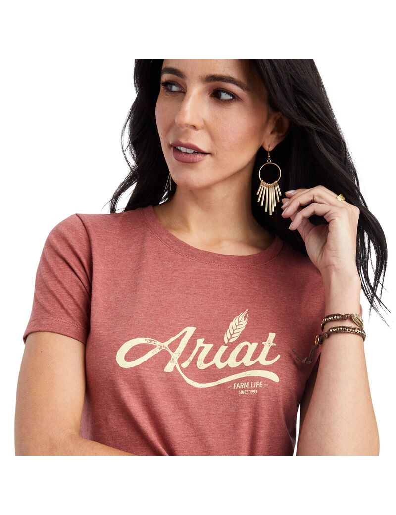 Hauts Ariat Wheat Script Tee Rouge Femme | JPX-87911811