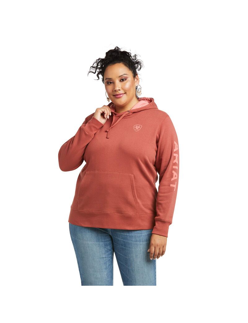 Sweat à Capuche Ariat REAL Arm Logo Multicolore Femme | WXD-53331483