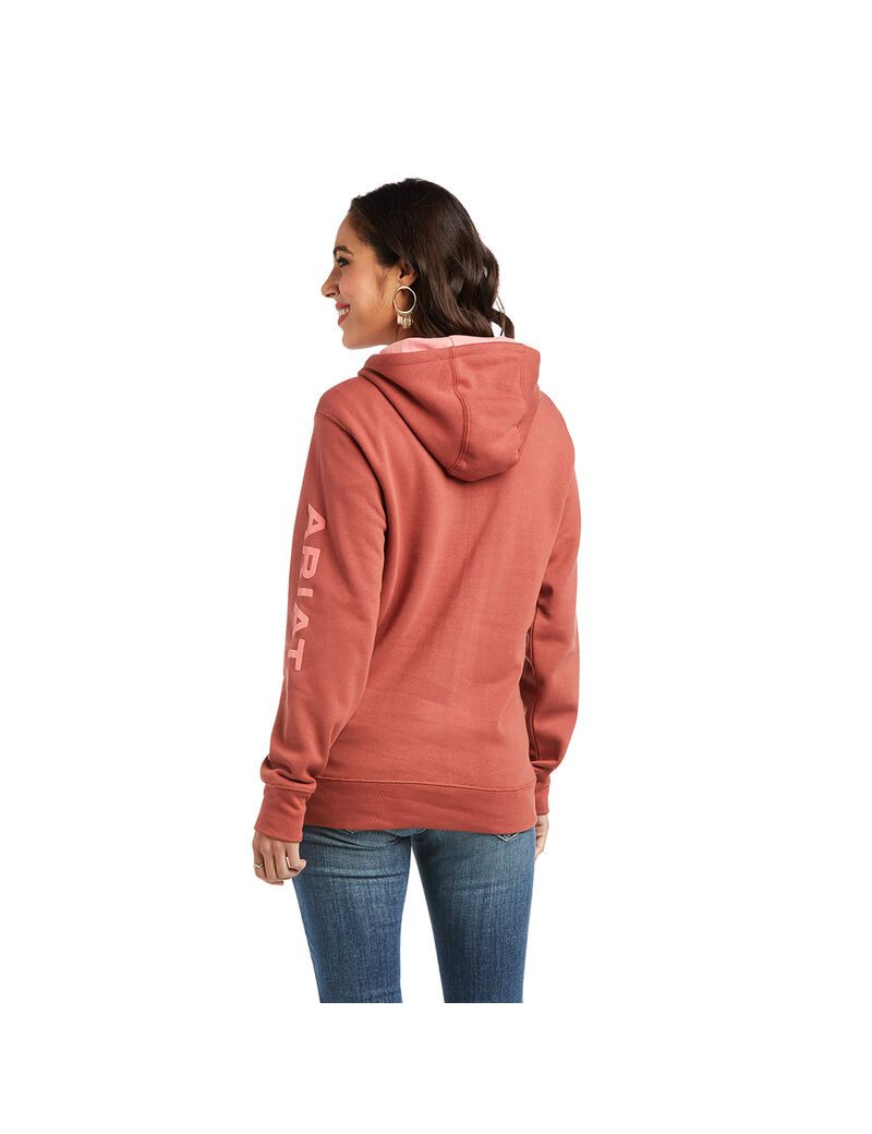 Sweat à Capuche Ariat REAL Arm Logo Multicolore Femme | WXD-53331483