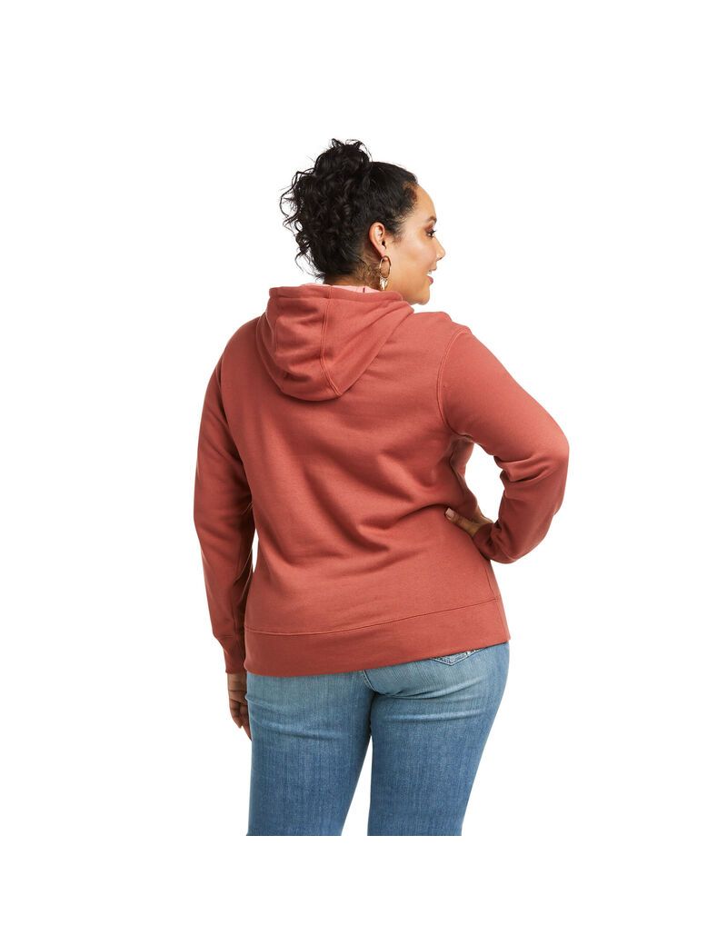 Sweat à Capuche Ariat REAL Arm Logo Multicolore Femme | WXD-53331483