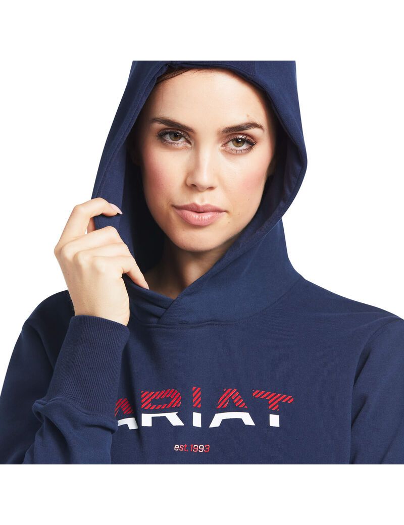 Sweat à Capuche Ariat 3D Logo 2.0 Bleu Marine Femme | KOB-99682095