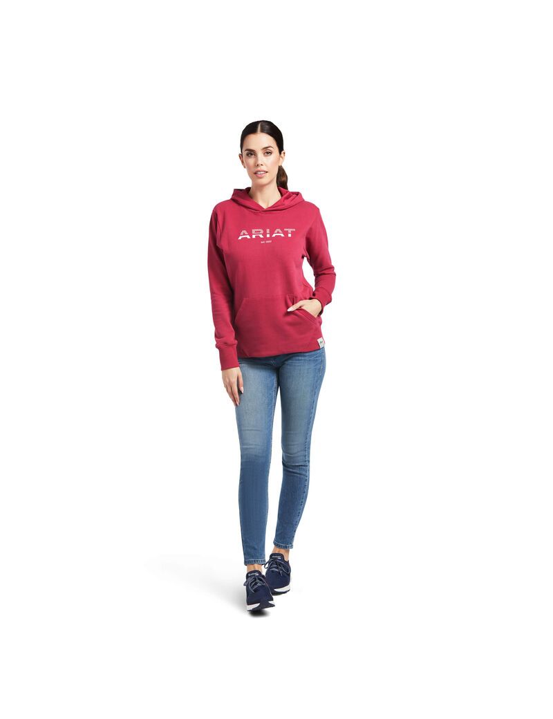 Sweat à Capuche Ariat 3D Logo 2.0 Rouge Femme | GWV-17802019