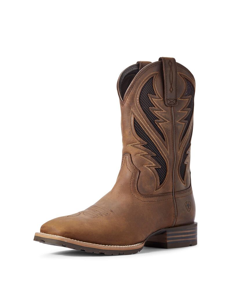 Bottes Western Ariat Hybride Venttek Marron Homme | AKF-35970530