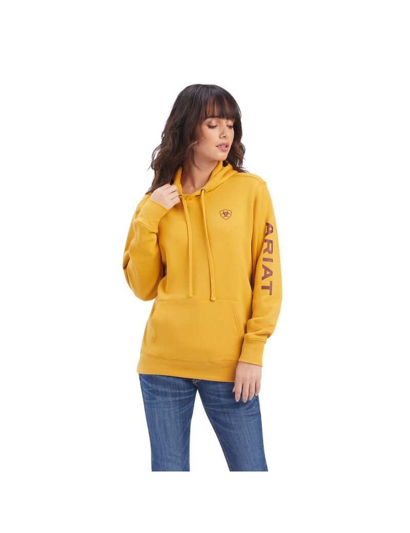 Sweat à Capuche Ariat REAL Classiche Arm Logo Doré Femme | MWS-32434494