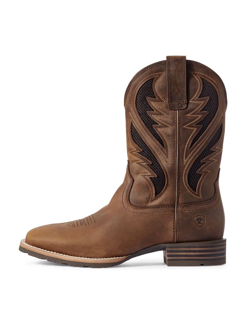 Bottes Western Ariat Hybride Venttek Marron Homme | AKF-35970530