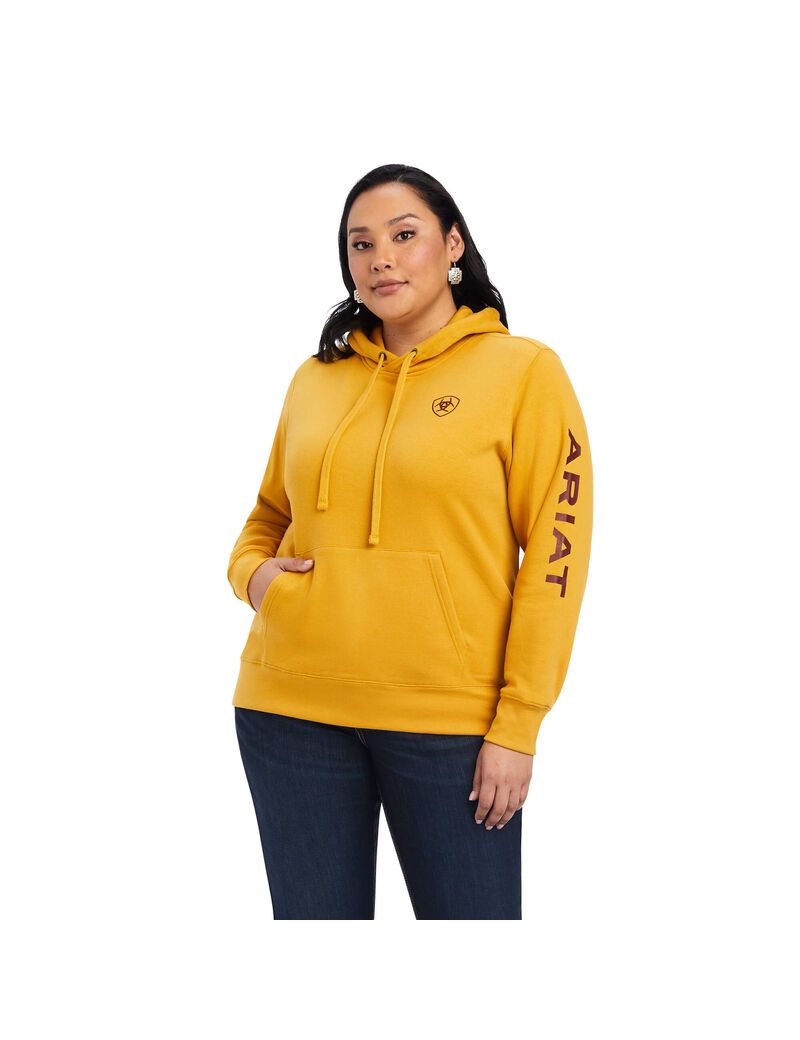 Sweat à Capuche Ariat REAL Classiche Arm Logo Doré Femme | MWS-32434494