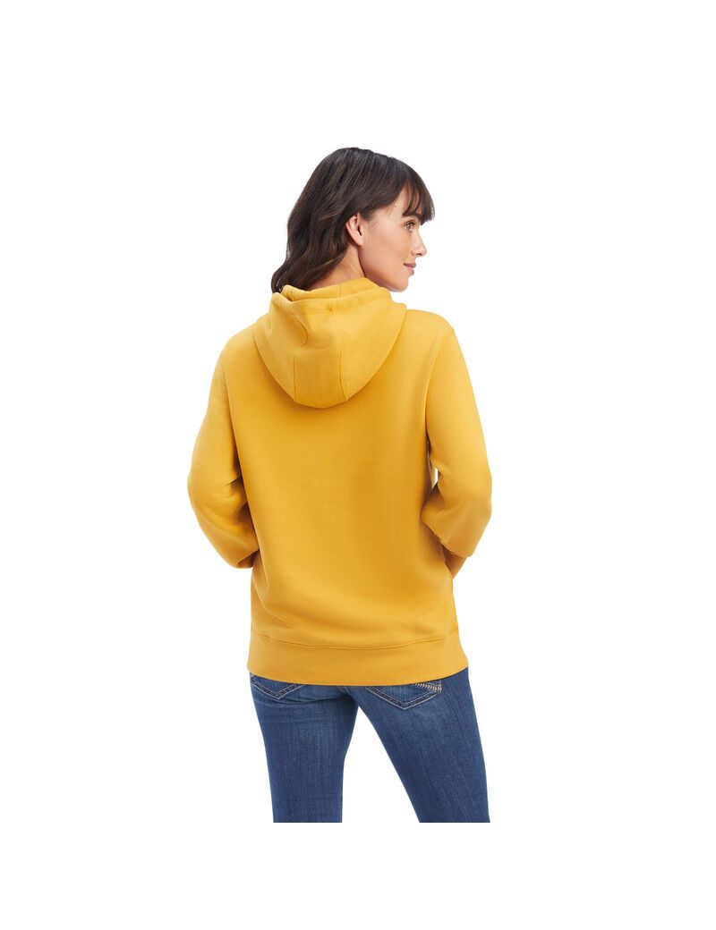 Sweat à Capuche Ariat REAL Classiche Arm Logo Doré Femme | MWS-32434494