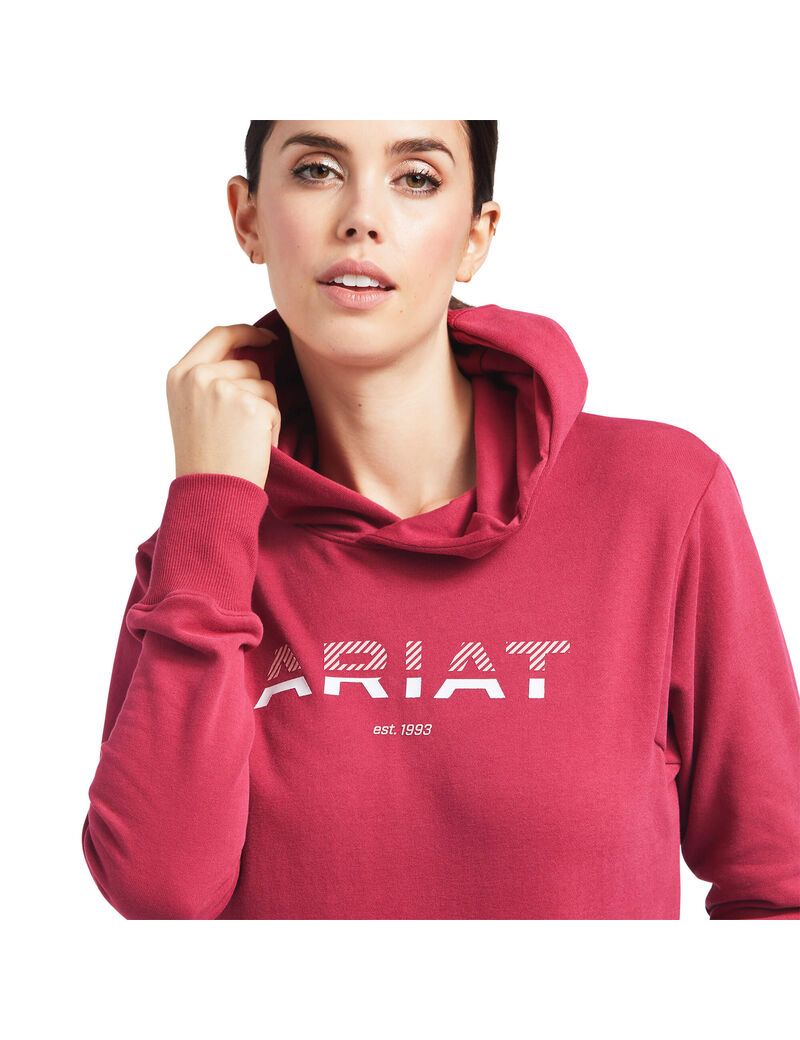 Sweat à Capuche Ariat 3D Logo 2.0 Rouge Femme | GWV-17802019