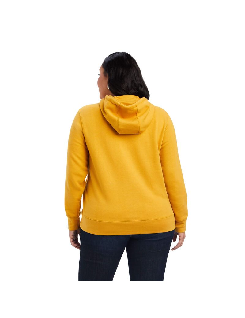 Sweat à Capuche Ariat REAL Classiche Arm Logo Doré Femme | MWS-32434494