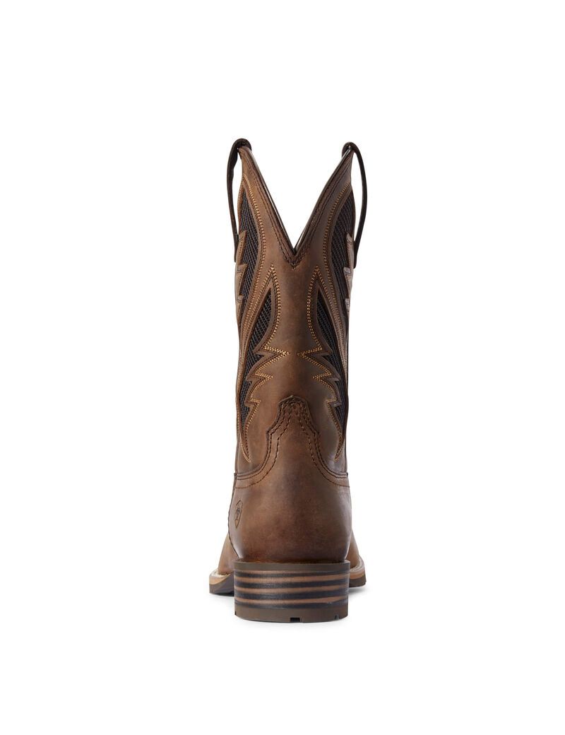 Bottes Western Ariat Hybride Venttek Marron Homme | AKF-35970530