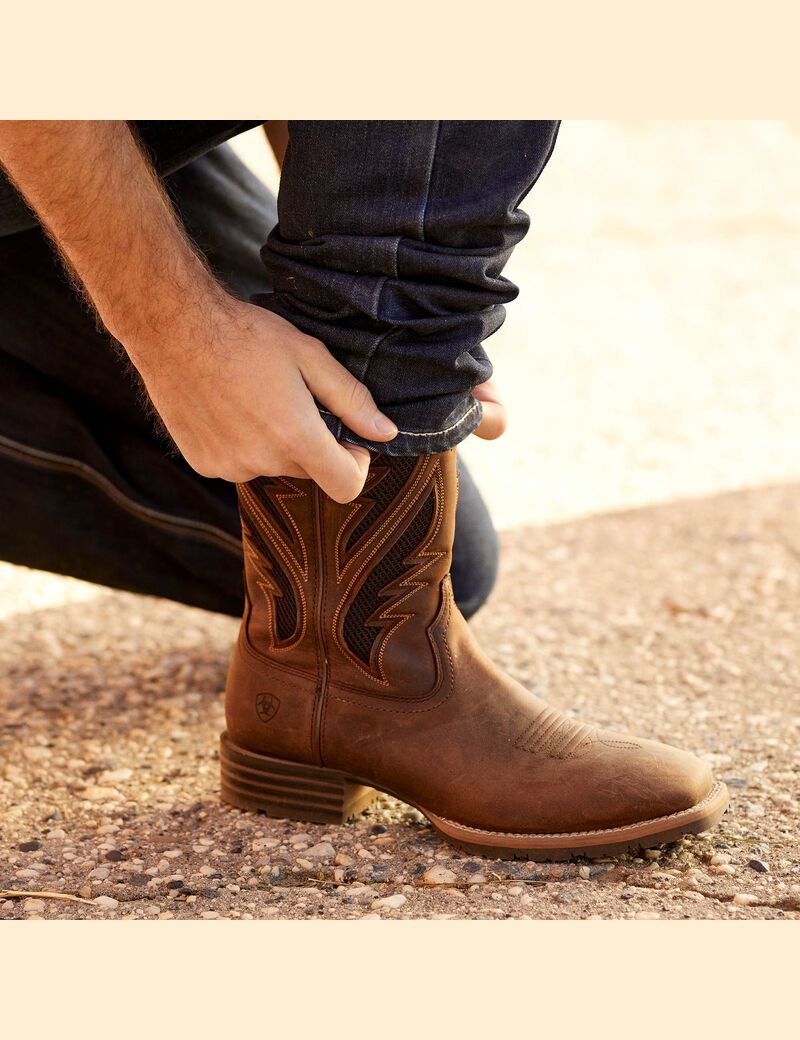 Bottes Western Ariat Hybride Venttek Marron Homme | AKF-35970530