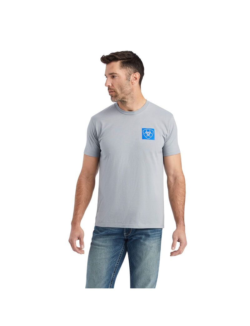 T Shirts Ariat Linear Octane Grise Homme | BFV-99900402